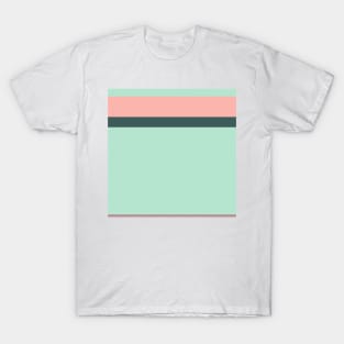 A sensational farrago of Feldgrau, Pale Turquoise, Pale Salmon and Rosy Brown stripes. T-Shirt